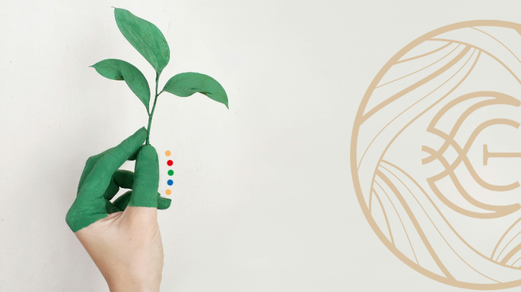 Οικολογικές Πρακτικές